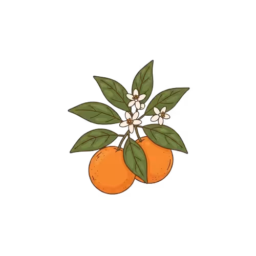 Gemini Generated Image 3o5str3o5str3o5s removebg preview converted